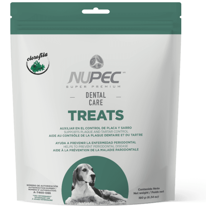 Dental Care Treats