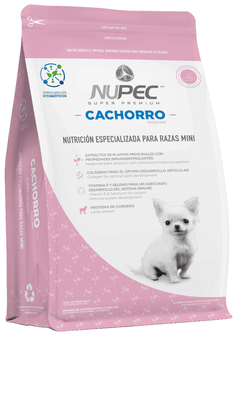 Cachorro Razas Mini