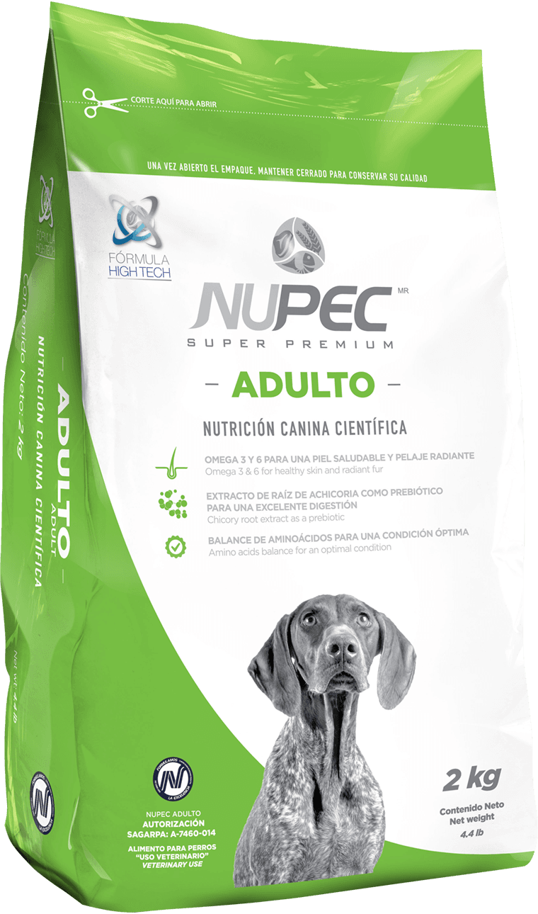 Adulto