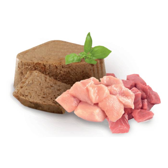 Senior Alimento Húmedo