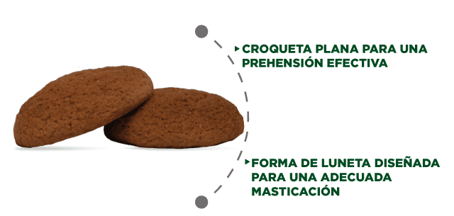 Croqueta Hairball