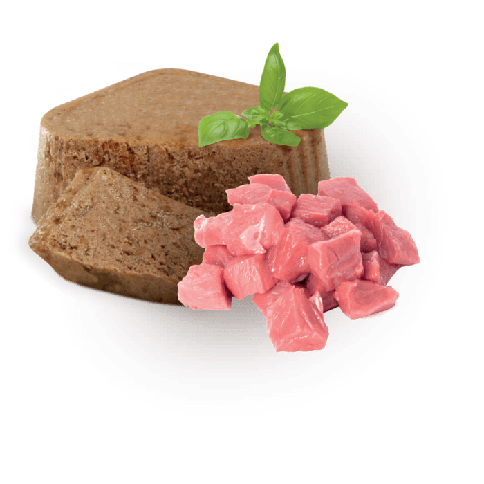 Adulto Alimento Húmedo