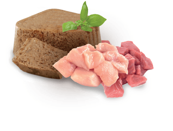 Weight Control Alimento Húmedo