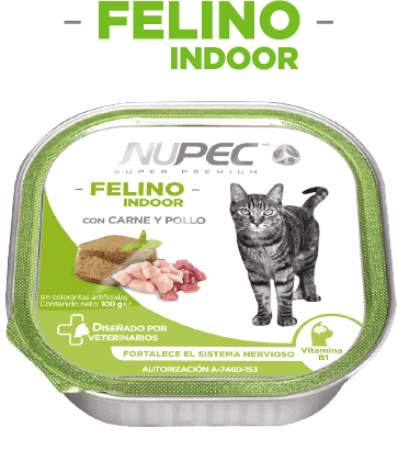 Felino Indoor Húmedo