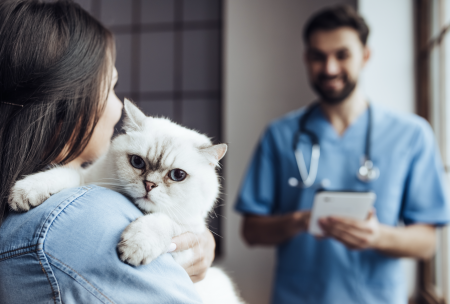 ¿Cómo escoger un veterinario?