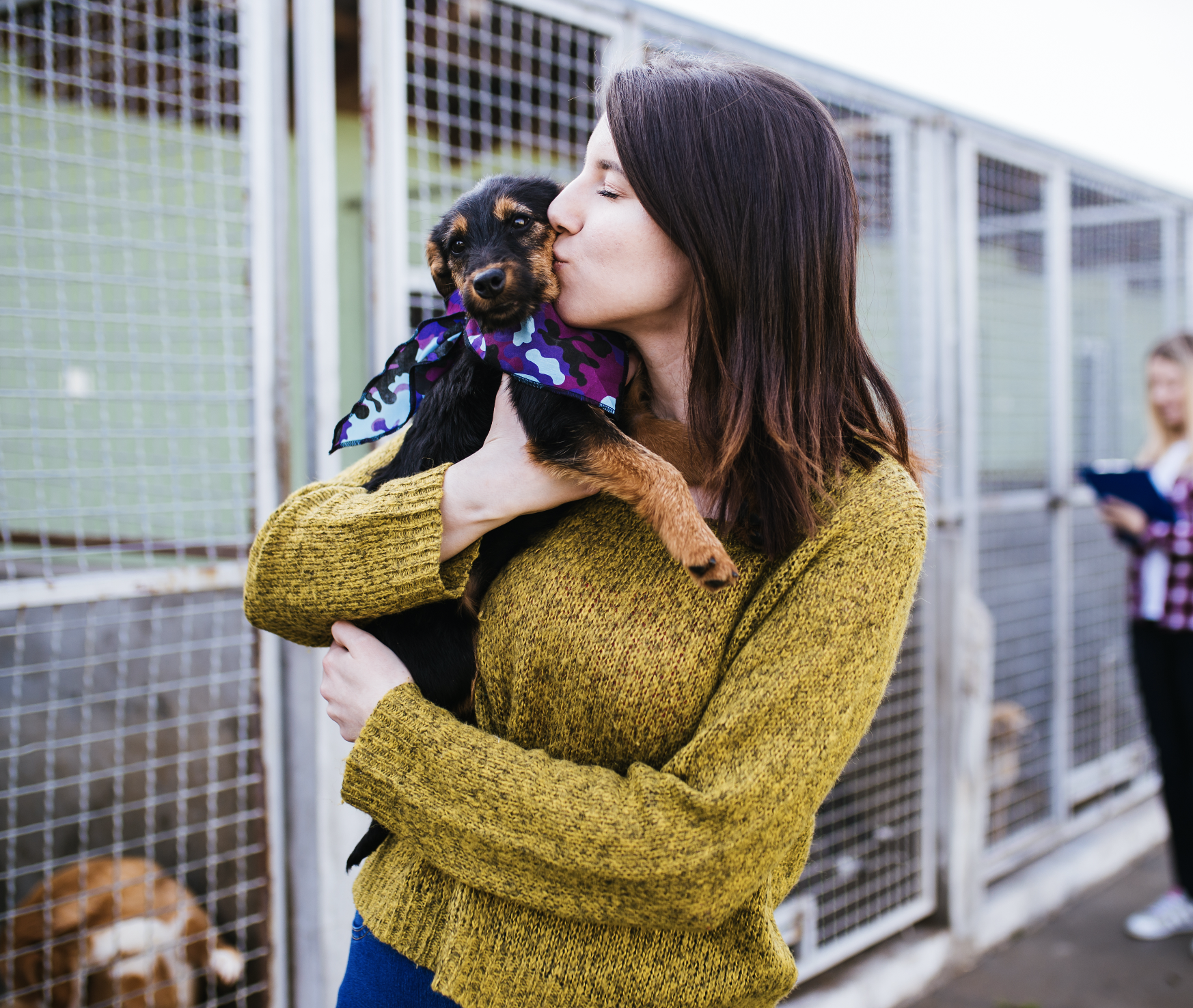 Beneficios de la adopción canina