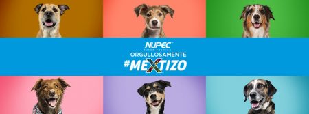 ¿Ya conoces la nueva campaña de NUPEC: Orgullosamente #Mextizos?