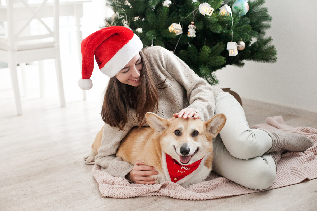 Cuidados de las mascotas en Navidad