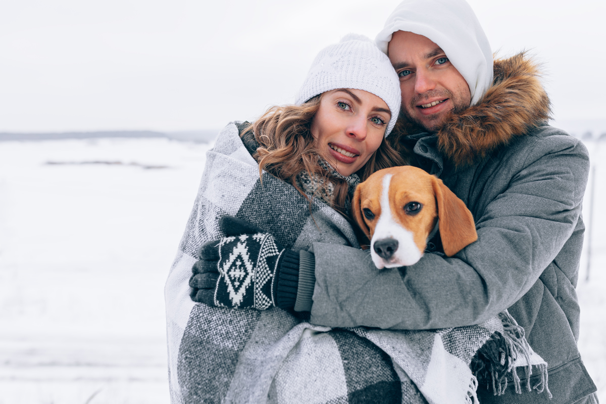 Consejos para pasear a tu perro durante el invierno