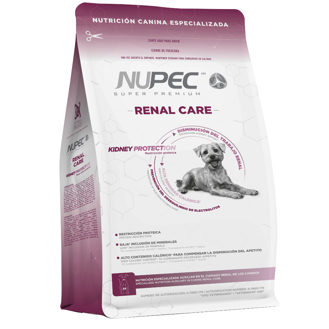 Renal Care NUPEC